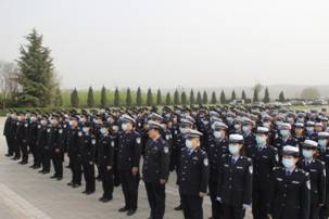 d9f74b732a9c73188fadf8679f255b7